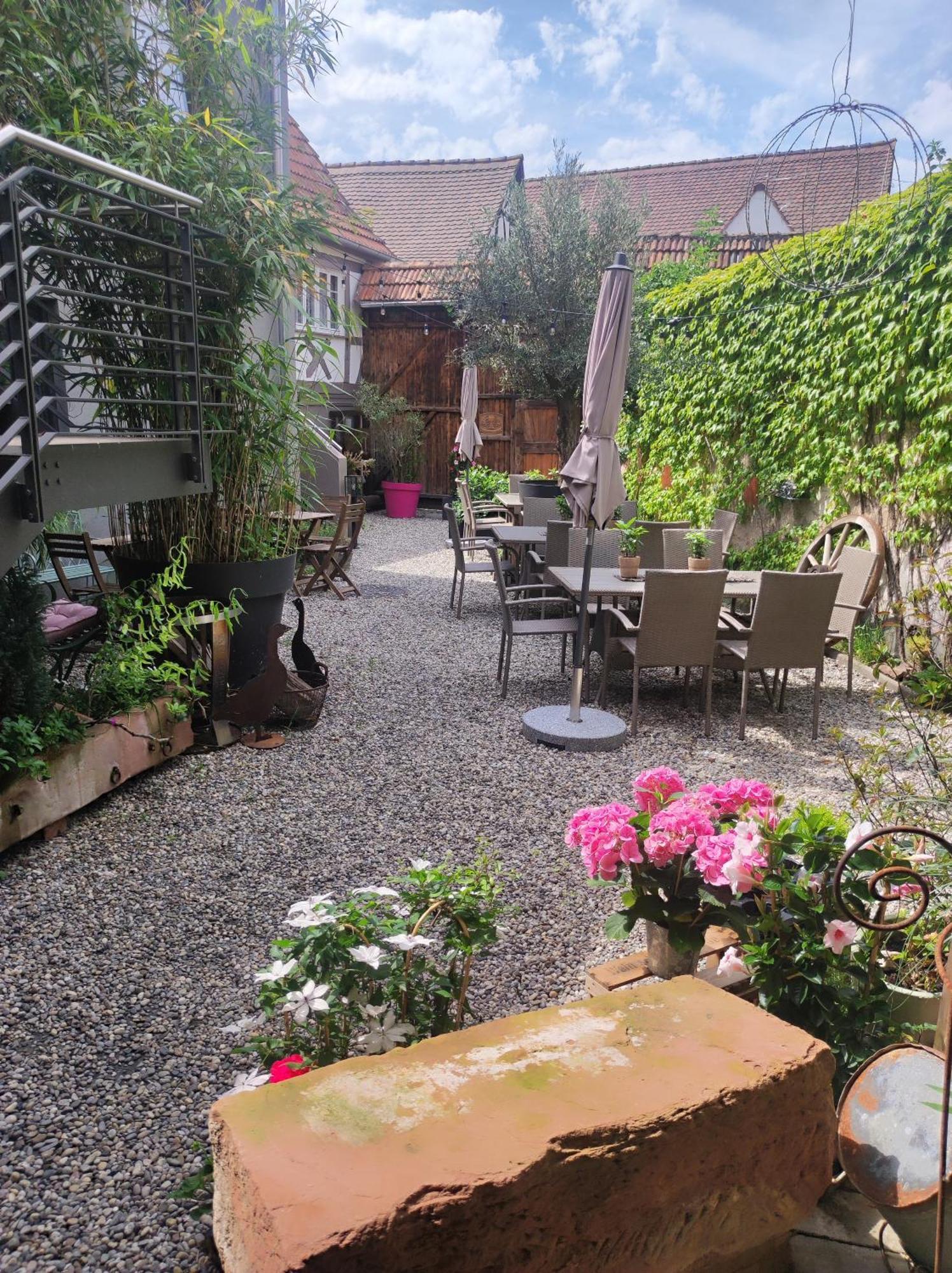 Hofgarten Rosa Ilbesheim bei Landau in der Pfalz Exterior foto